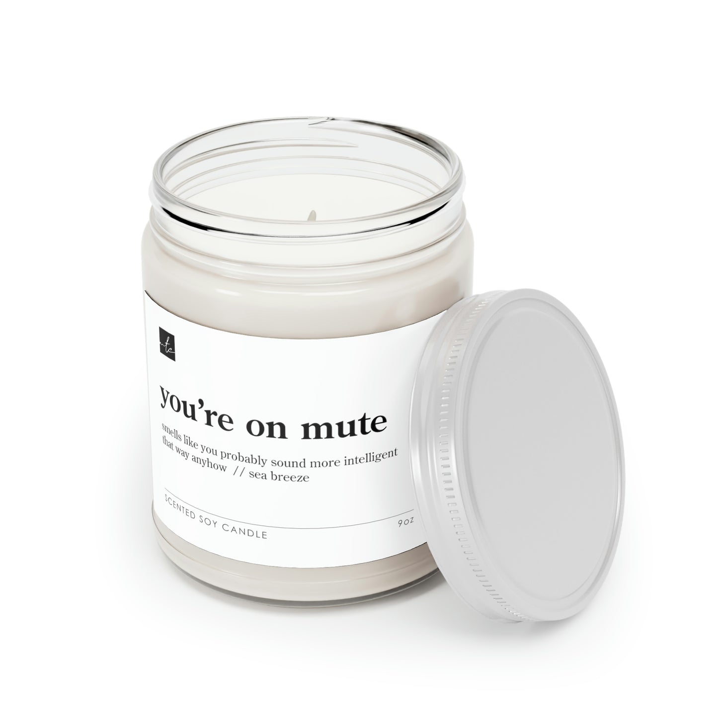 You're On Mute But You Sound More Intelligent That Way // Sea Breeze Scented Candles, 9oz