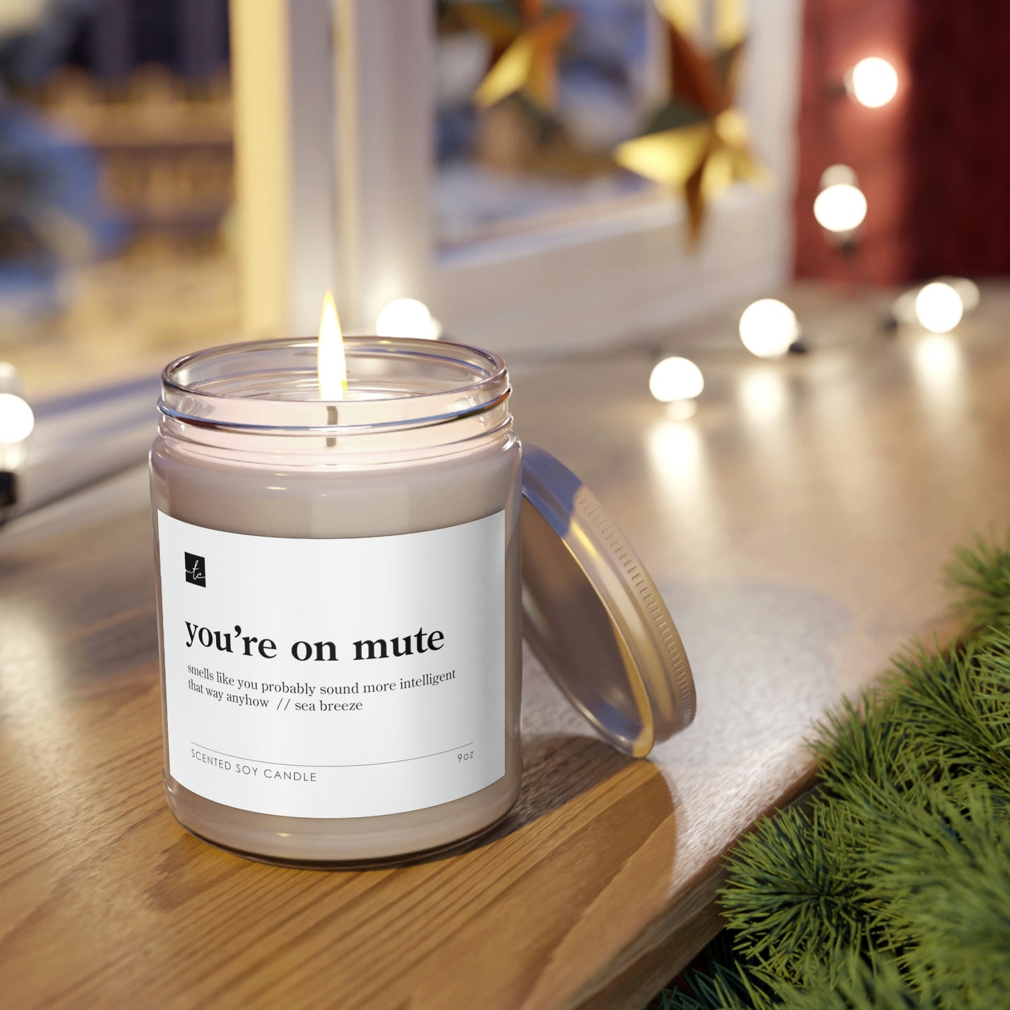 You're On Mute But You Sound More Intelligent That Way // Sea Breeze Scented Candles, 9oz